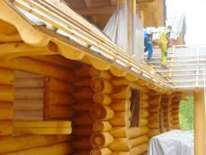 poleno dom kazanje �karnica podrobnost